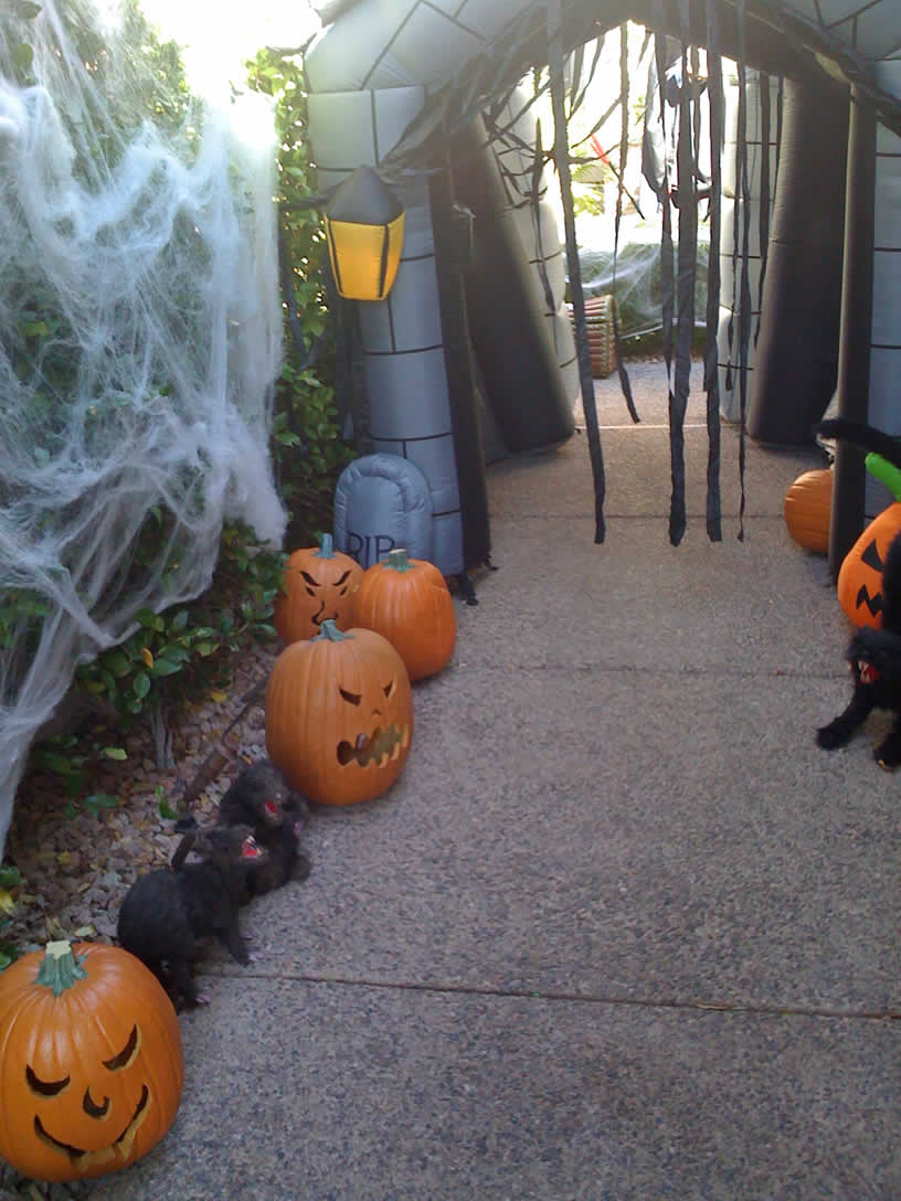 Halloween Decoration